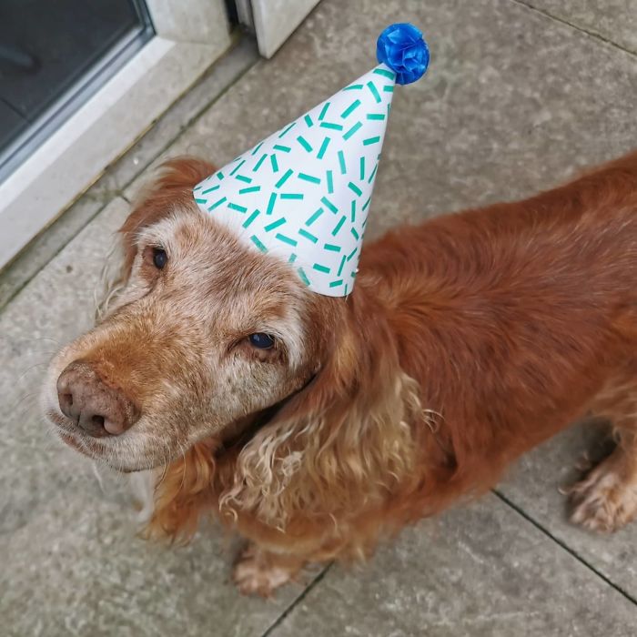 It's Max's 15th Birthday Today