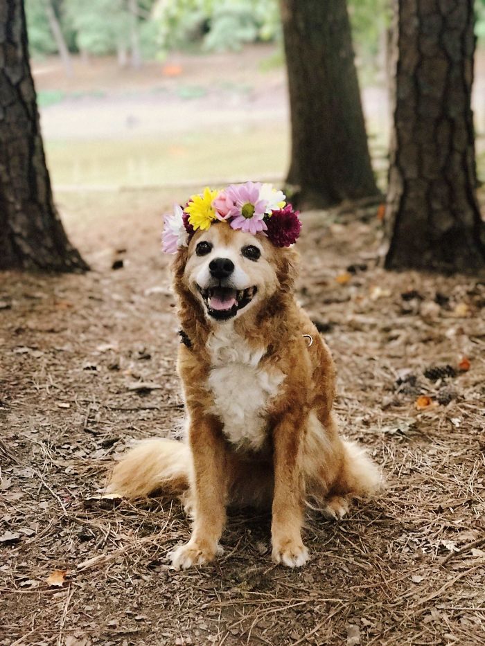 My Old Lady Got A Flower Crown For Her 14th Birthday