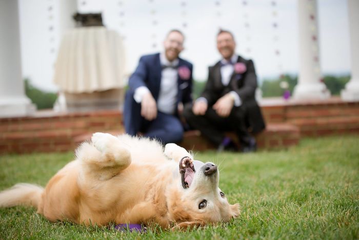 My Best 14-Year-Old Man Chance Stole The Show At My Wedding Last Year