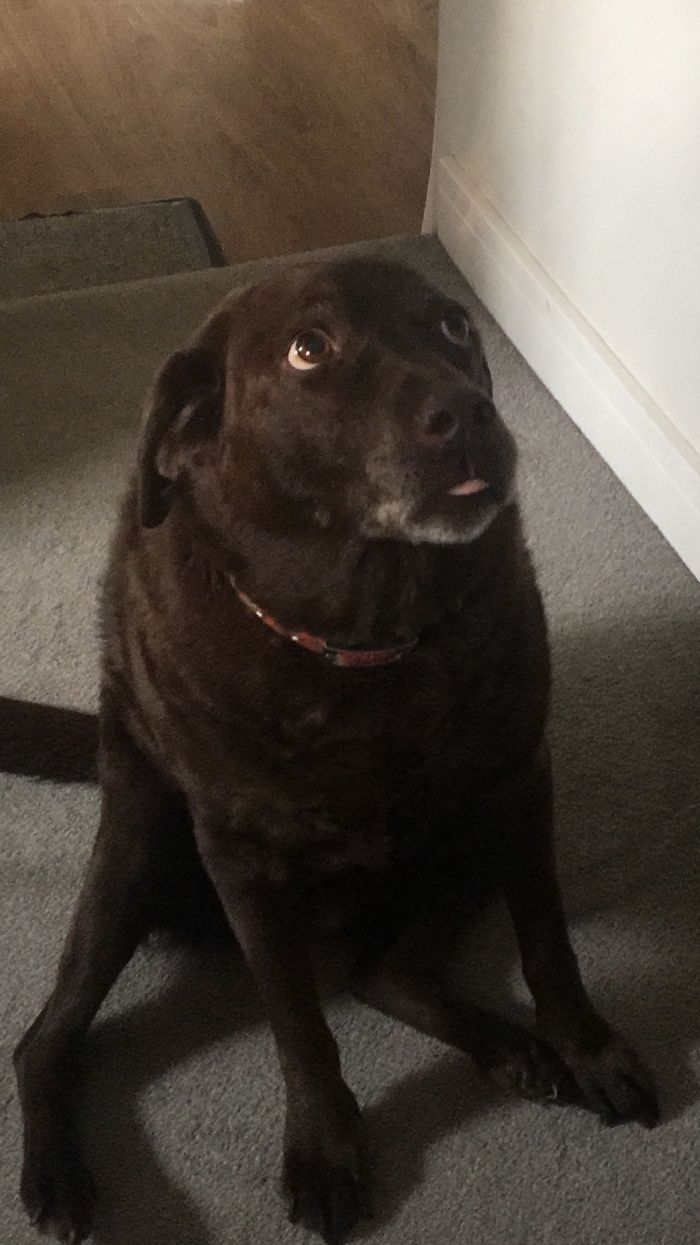 12 Years Old And Still Derping