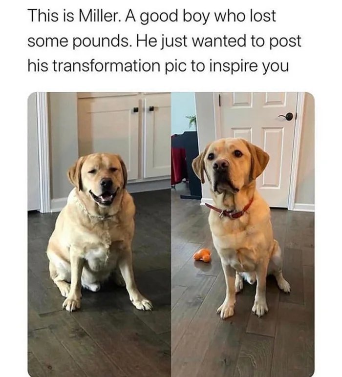 Such A Good Boy