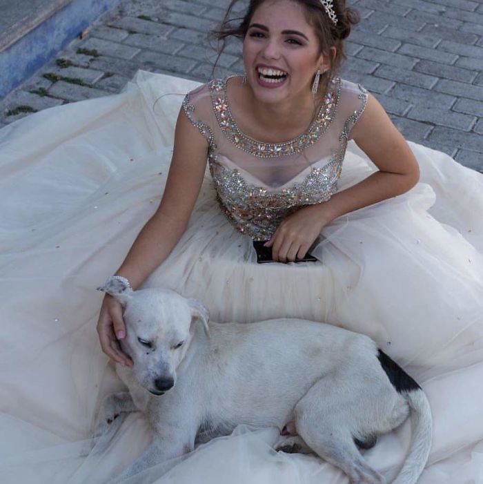In Mexico, This Girl Who Was Celebrating Her 15 Years Was Posing On The Floor When A Stray Dog ​​approached And Snuggled Over Her. Instead Of Getting Angry, She Asked To Take Pictures Together
