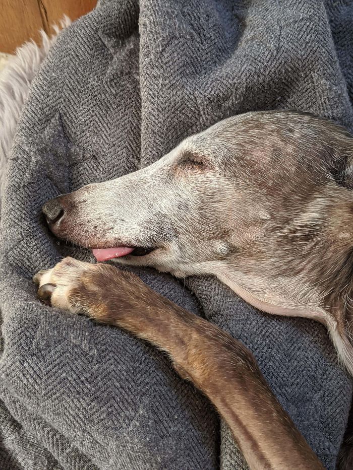 This Beautiful Girl Is Almost 14. She's Missing A Lot Of Teeth So Her Tongue Sticks Out A Lot