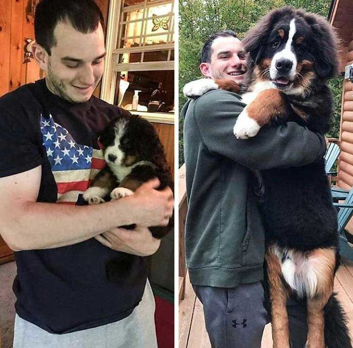 6 Weeks And 6 Months
