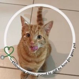 shellareef2001 avatar