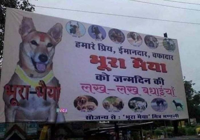 Someone In India Bought A Billboard To Celebrate His Dog's Birthday