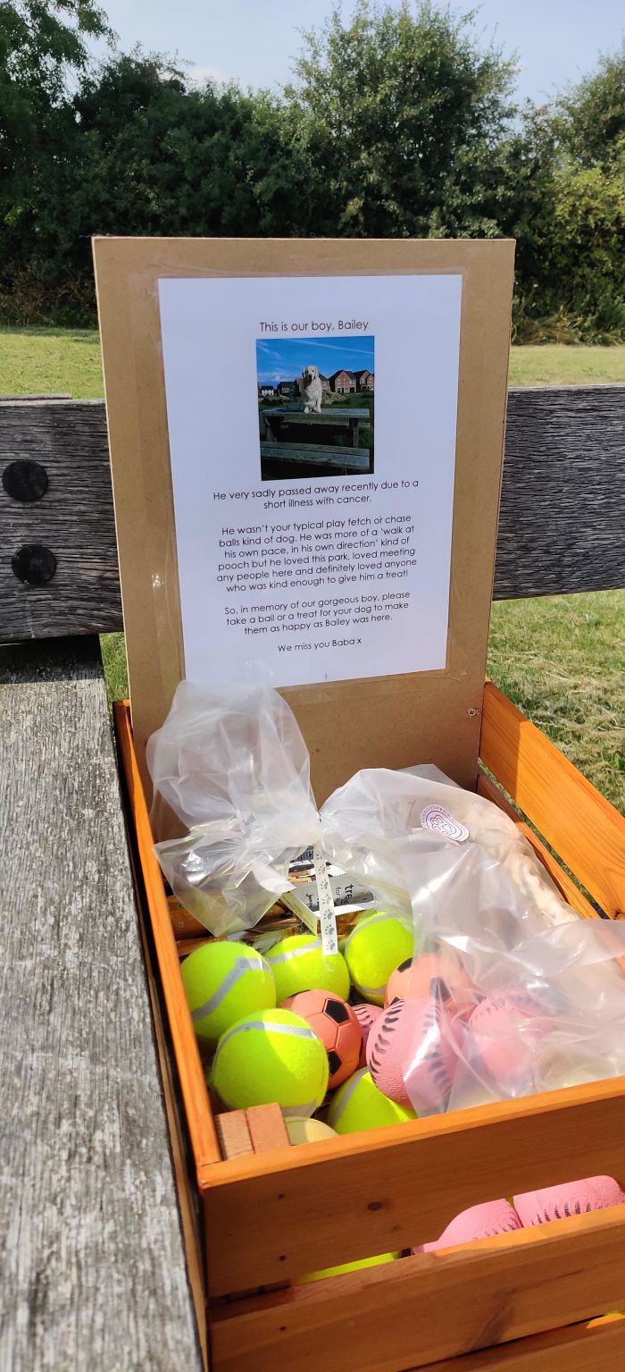One Of Our Neighbouring Dogs Passed Away, So His Owners Left A Box Full Of Treats For Other Dogs As A Tribute In The Local Park