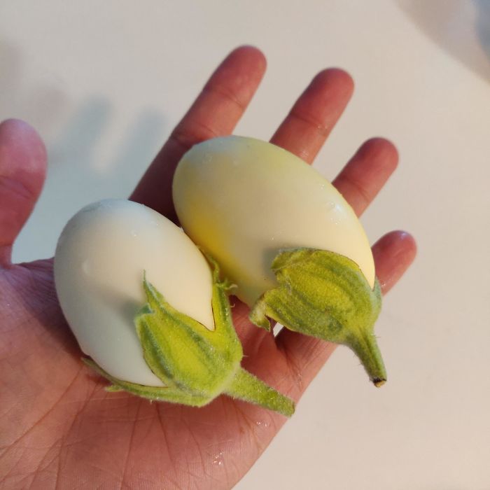 Eggplants That Actually Look Like Eggs