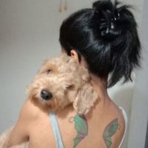 paragastheena avatar