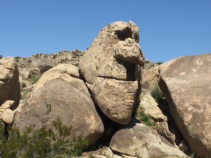 A Rock That Looks Like An Old Man