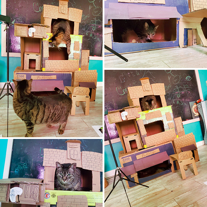 Made An H.h. Holmes Murder Castle For The Cats