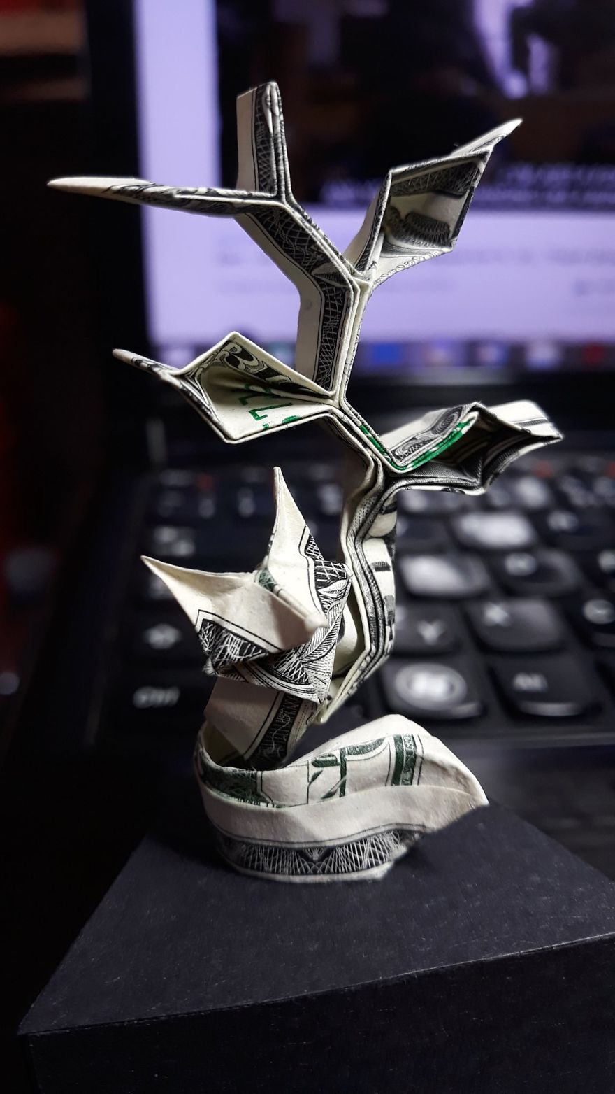 Money Origami Money Origami