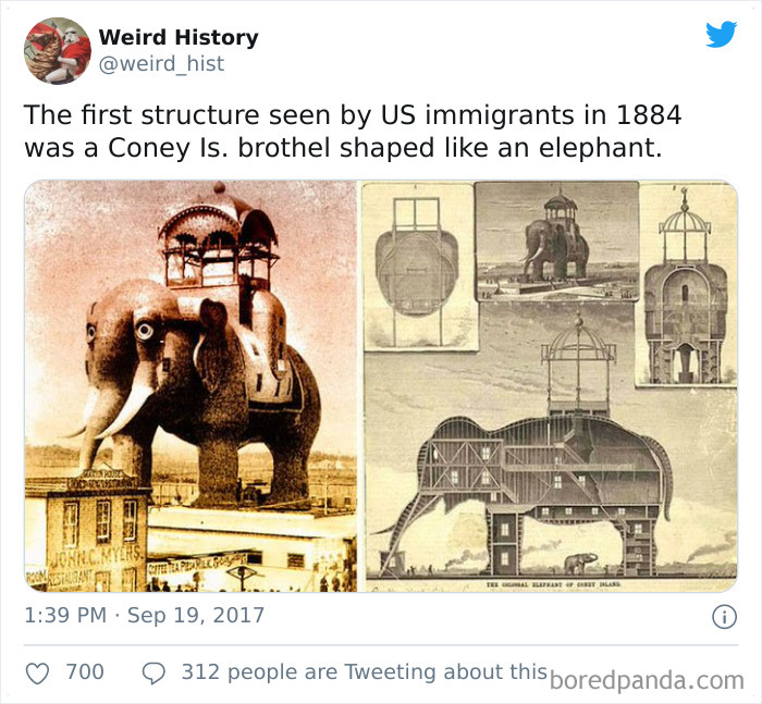 Weird-History