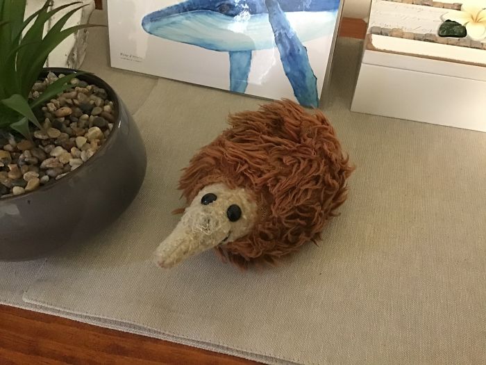 This Is Shermy. He Is An Echidna. I Got Him When I Was Four, In 1975. My Nana Took Me For A Trip Into The City, And She Bought Me Shermy For $7 Au At The Sydney Opera House Gift Shop. I Still Remember That Day