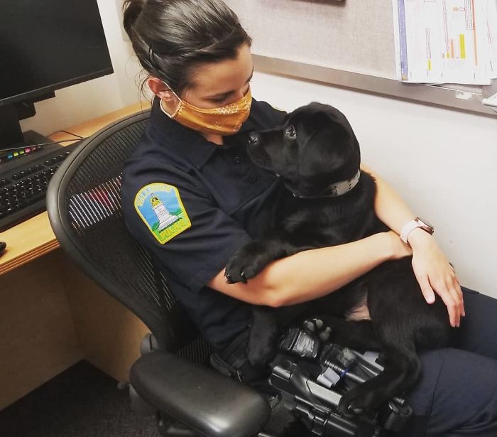 Adorable-Puppies-Police-Training