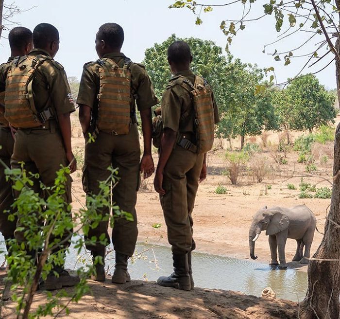 This All-Female Unit Of Rangers Protecting Wildlife From Poachers In Zimbabwe Is Epic