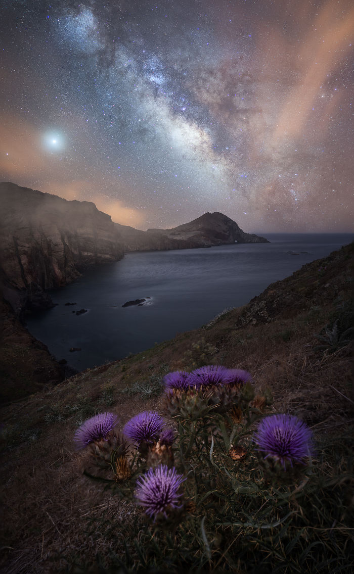 Purple flowers on a hillside overlooking a rocky Madeira coastline under a starry night sky with the Milky Way visible