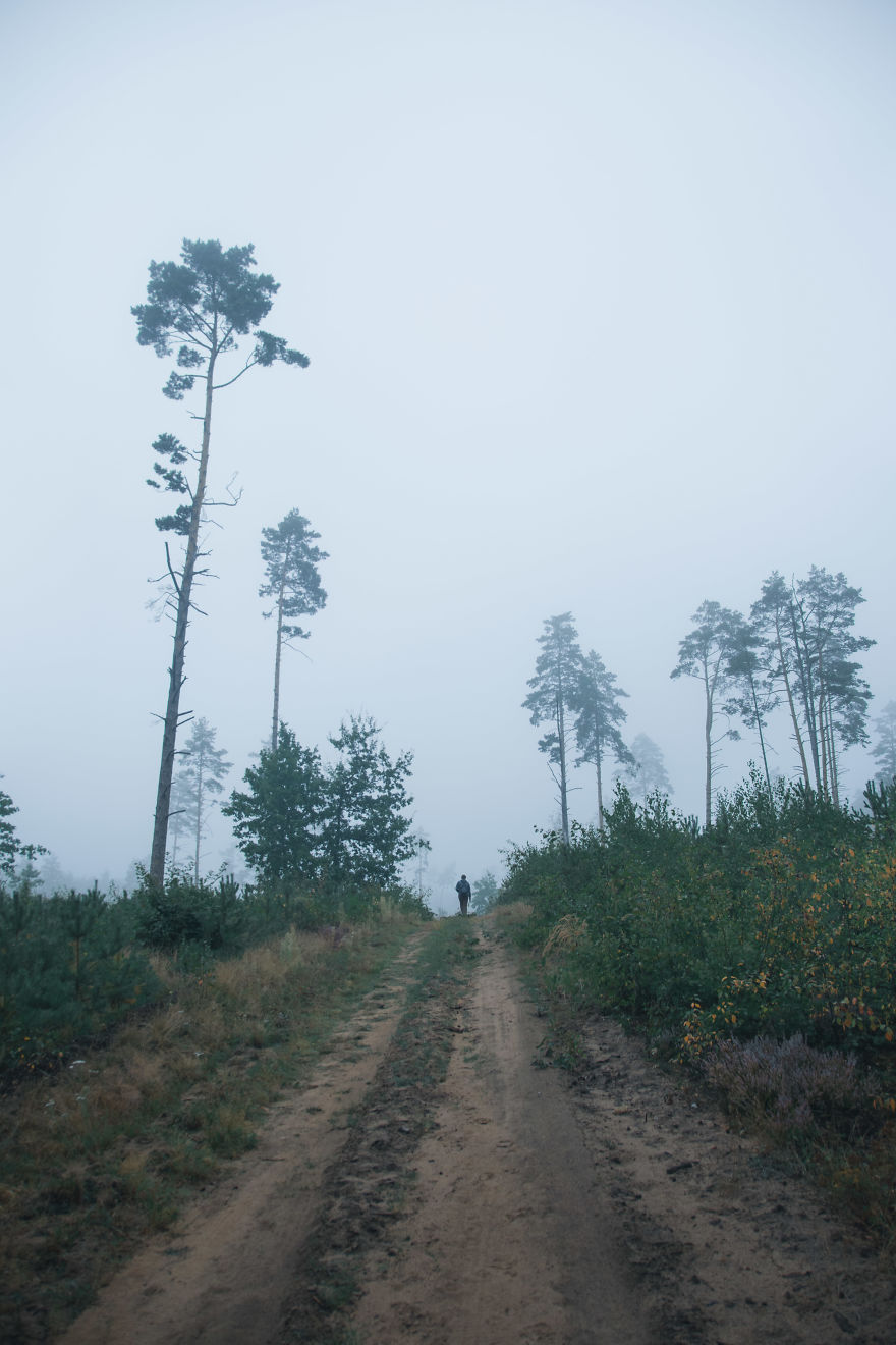 I Am A 17 Year Old Photographer, Capturing Moody Nature From My Perspective.
