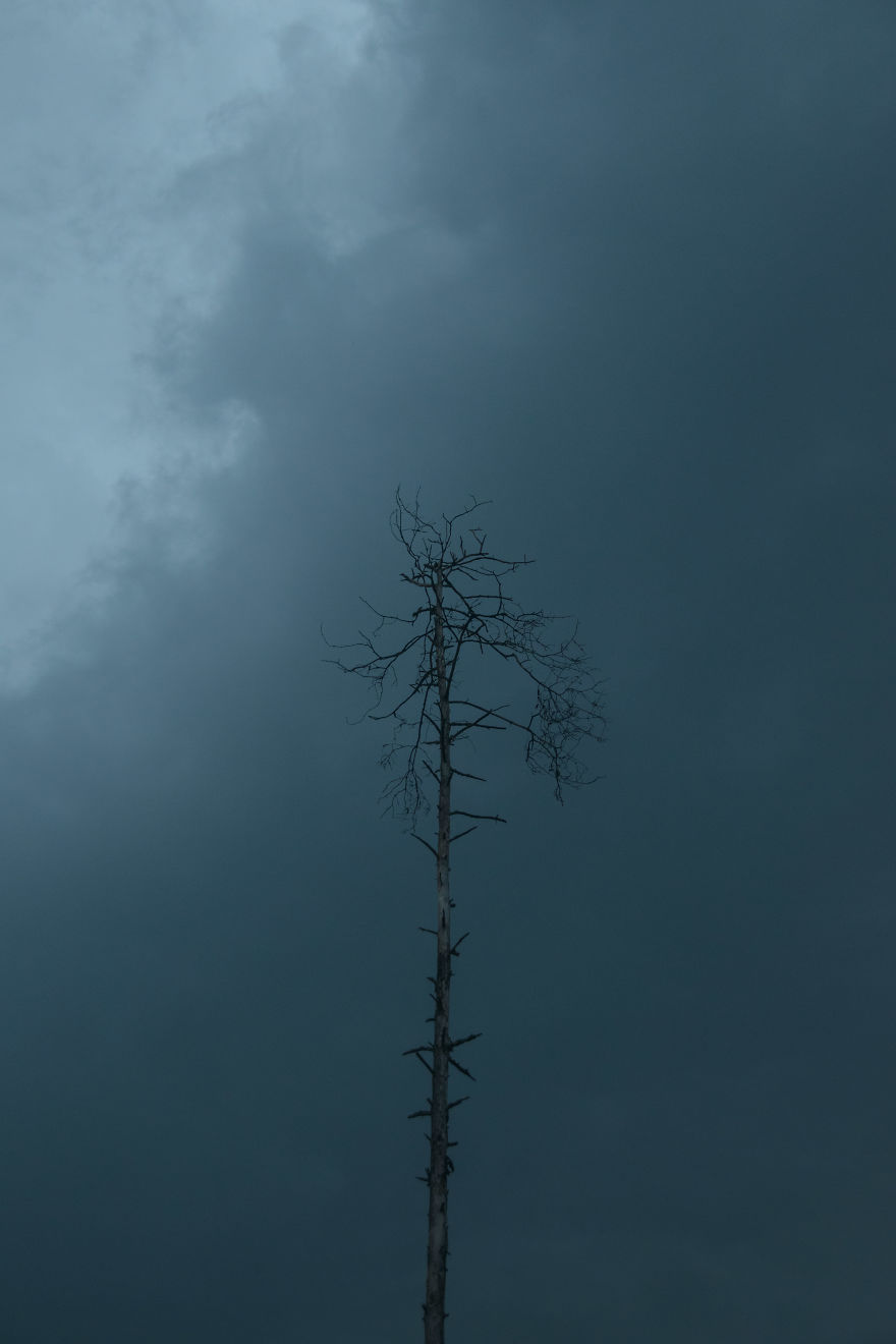 I Am A 17 Year Old Photographer, Capturing Moody Nature From My Perspective.