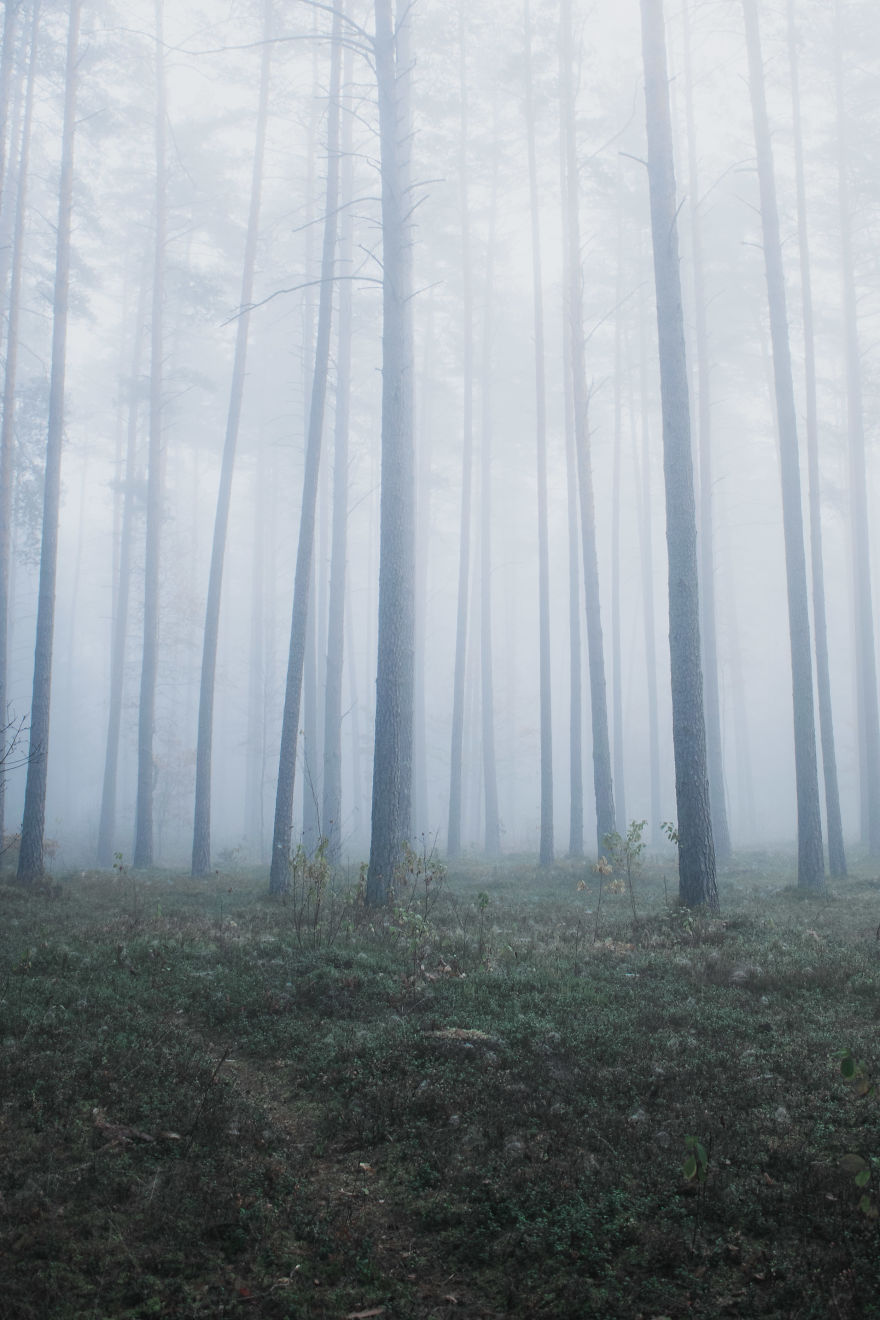 I Am A 17 Year Old Photographer, Capturing Moody Nature From My Perspective.