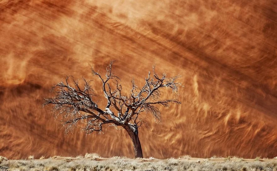 Dune On Fire, Namibia