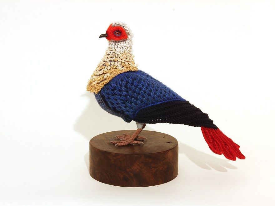 Laurel Roth Hope's Crochet 'Biodiversity Reclamation Suits' For Extinct Urban Pigeons