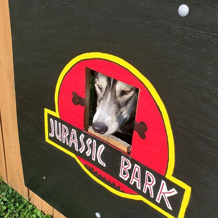 These Dogs Like To Look At Their Neighborhood Through A Hole In A Fence, So Their Owners Put Up Posters To Make Their Neighbors Laugh
