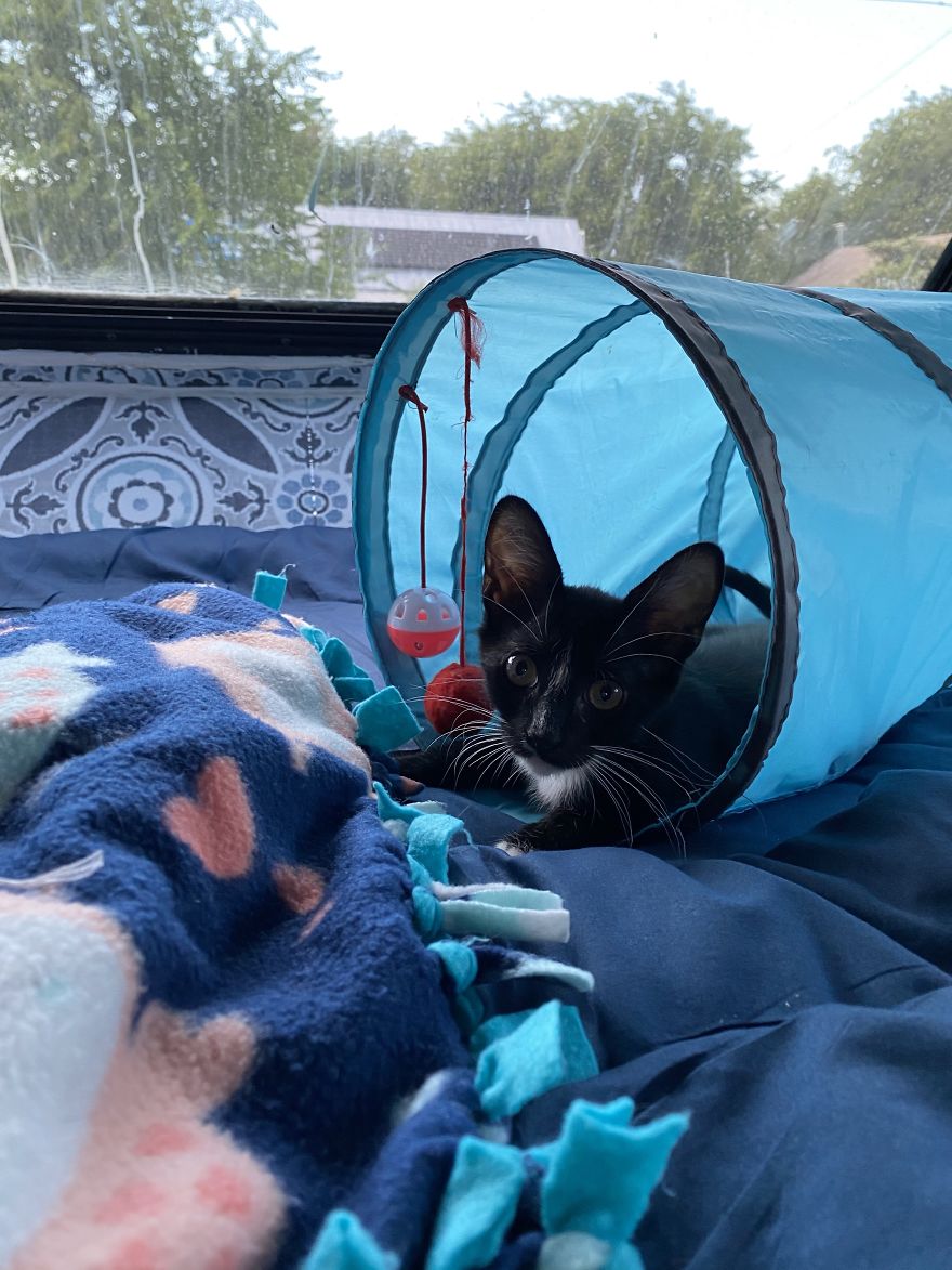 I Bought An Old 1995 RV, And Here's How I Transformed It Into A Beautiful Home For Me And Two Kittens That I Recently Adopted (21 Pics)