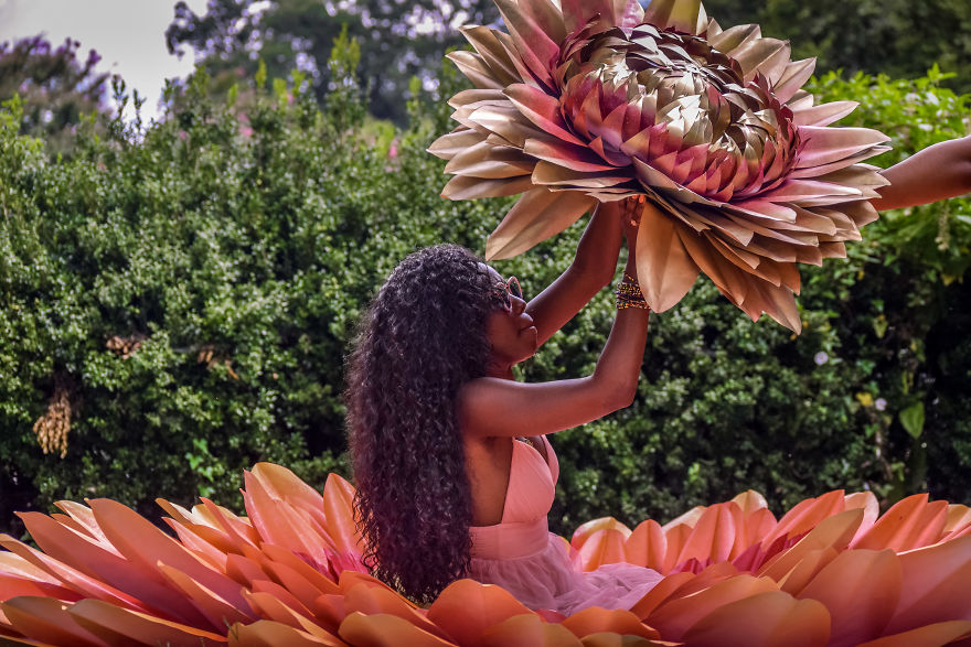 I Design Some Of The World's Largest Paper Flowers - 500+ Handcrafted Petals - Flower Child Project At Rawlings Conservatory