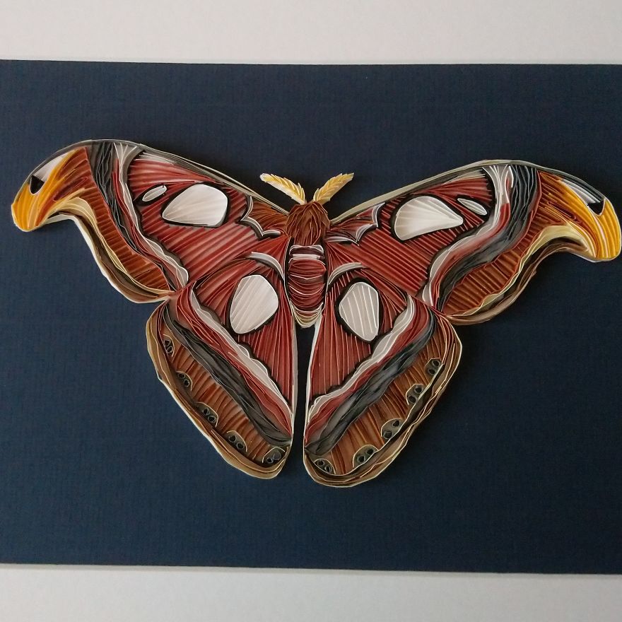 On Edge Paper Quilling Artist