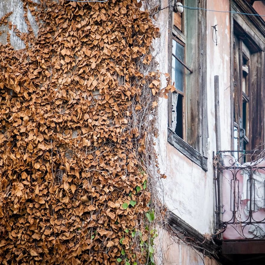 Life In Karadeniz Region.