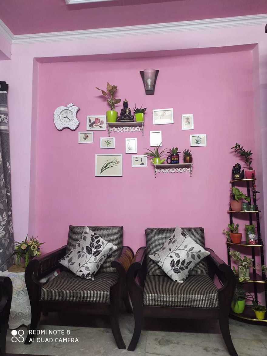 Indoor Plants Which I Used For Minimalist House Decor