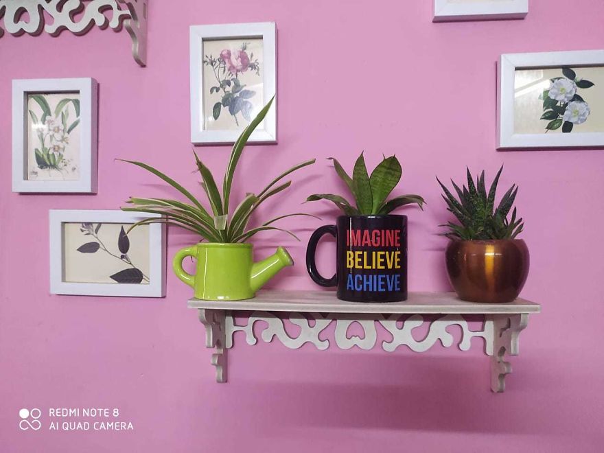 Indoor Plants Which I Used For Minimalist House Decor