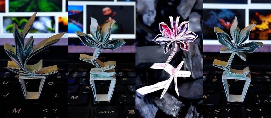 Money Origami Money Origami