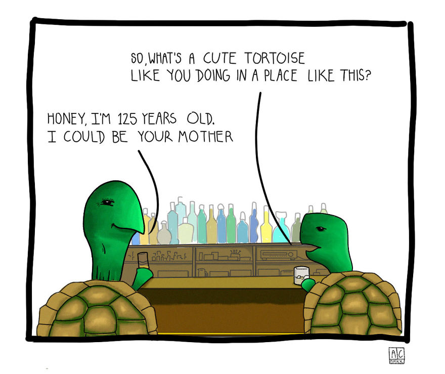The Tortoise Date