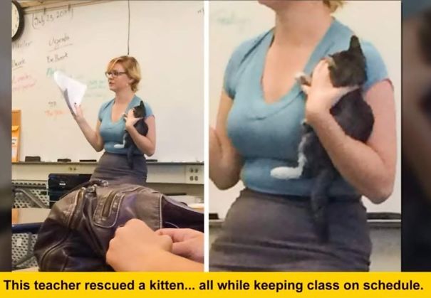 Teen-Teacher-brings-Kitten-to-Class-5f4d402a86c79.jpg