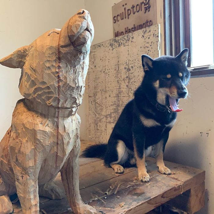 Cute Video Shows Dog Trying To Blend In Between Animal Sculptures