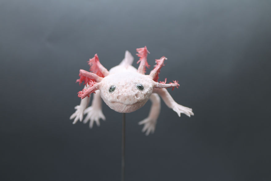 I Use My Unique Technique To Create Realistic Animals And Plants From Paper (34 New Pics)