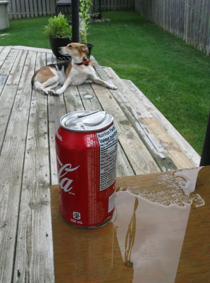 Coke For Covidtainment Coke For Covidtainment