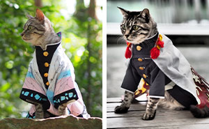 This Guy Likes To Make Anime Costumes For His Cats And Here Are 70 Of The Coolest Ones