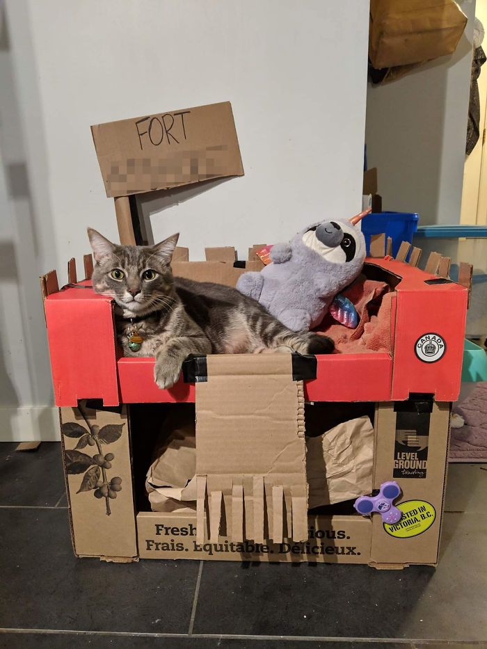 Some Cats Have A Box. Ours Has A Fort And A Slothicorn Guard.