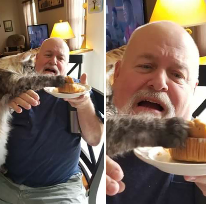 Mr. Muffins Stealing A Muffin