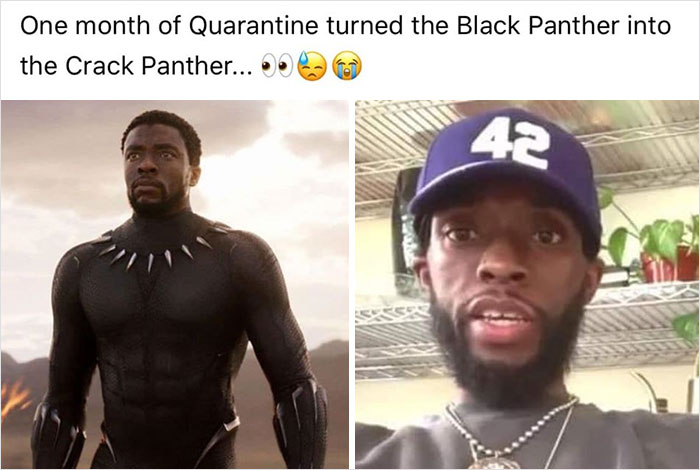 People Who Mocked Chadwick Boseman For His Weight Loss Now Feel Awful And  Hopefully It Teaches Them A Lesson | Bored Panda