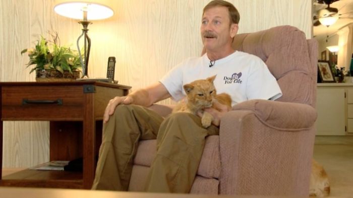 Cat Lost In Martin County During 2004 Hurricane Reunites With Owner After 14 Years