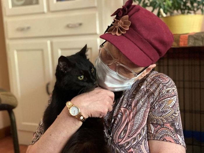 17-Year-Old Cat Is Home After 10-Year Absence