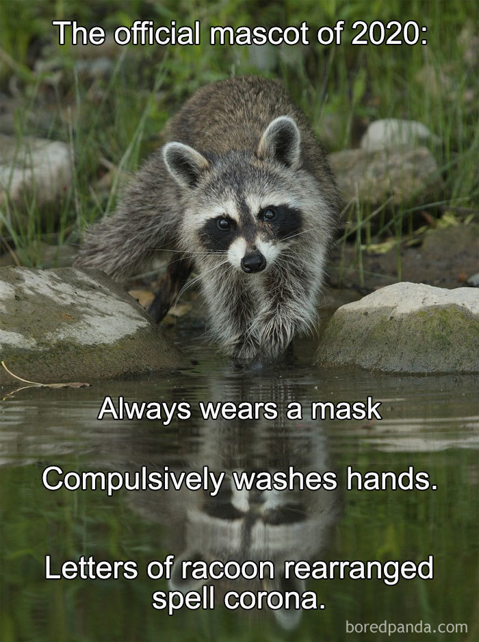 Wear A Mask And Stay Safe