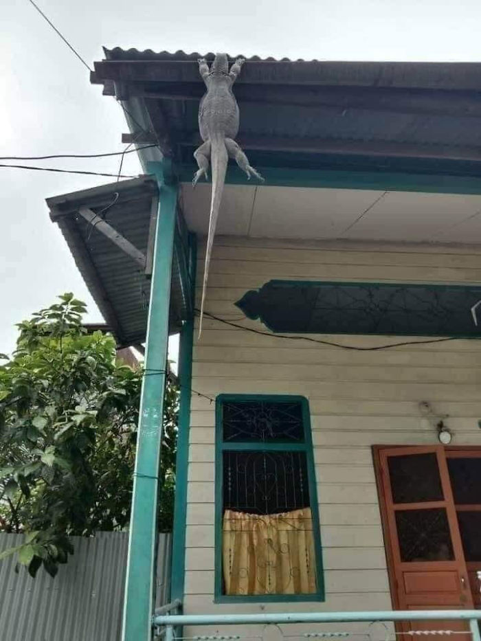 Meanwhile In Thailand