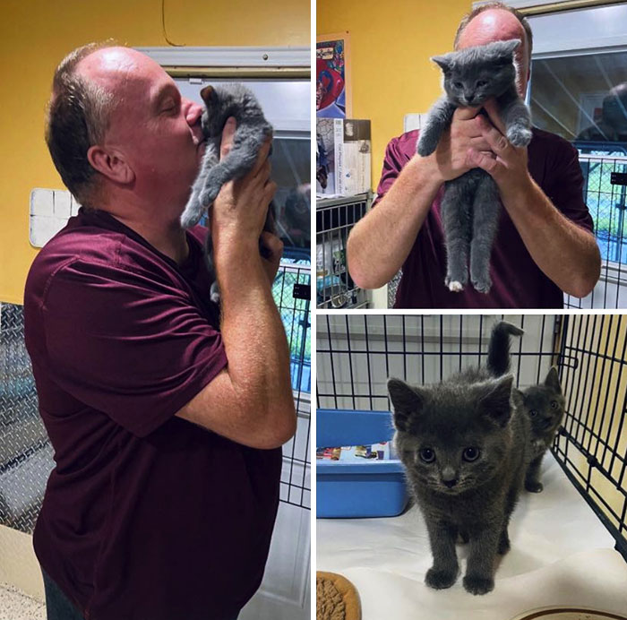 Sugar The Kitten Loved Spca Staff Member Glenn So Much And She Would Always Cry For His Attention. So, He Had To Take Her Home!