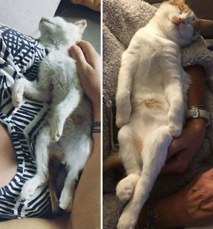 One Day After We Rescued Her On The Verge Of Dying Versus One Month Later I Love Her So Much
