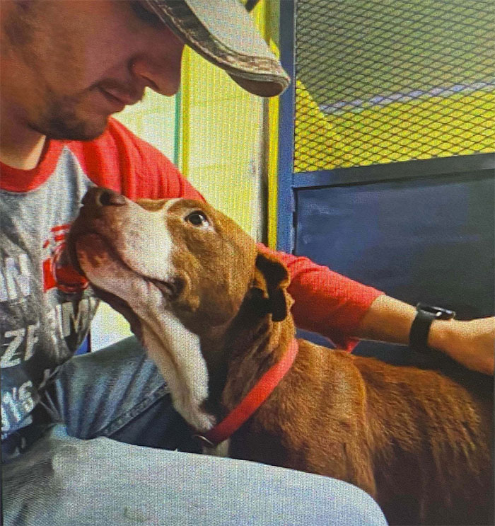 Los perros rescatados aprecian a sus humanos